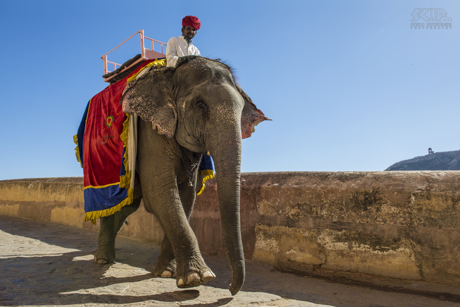 Jaipur - Amber fort - Olifant Vanaf de weg kan je het fort te voet in 10 minuten bereiken. Je kan er je ook laten vervoeren op de rug van versierde en beschilderde olifanten. Stefan Cruysberghs